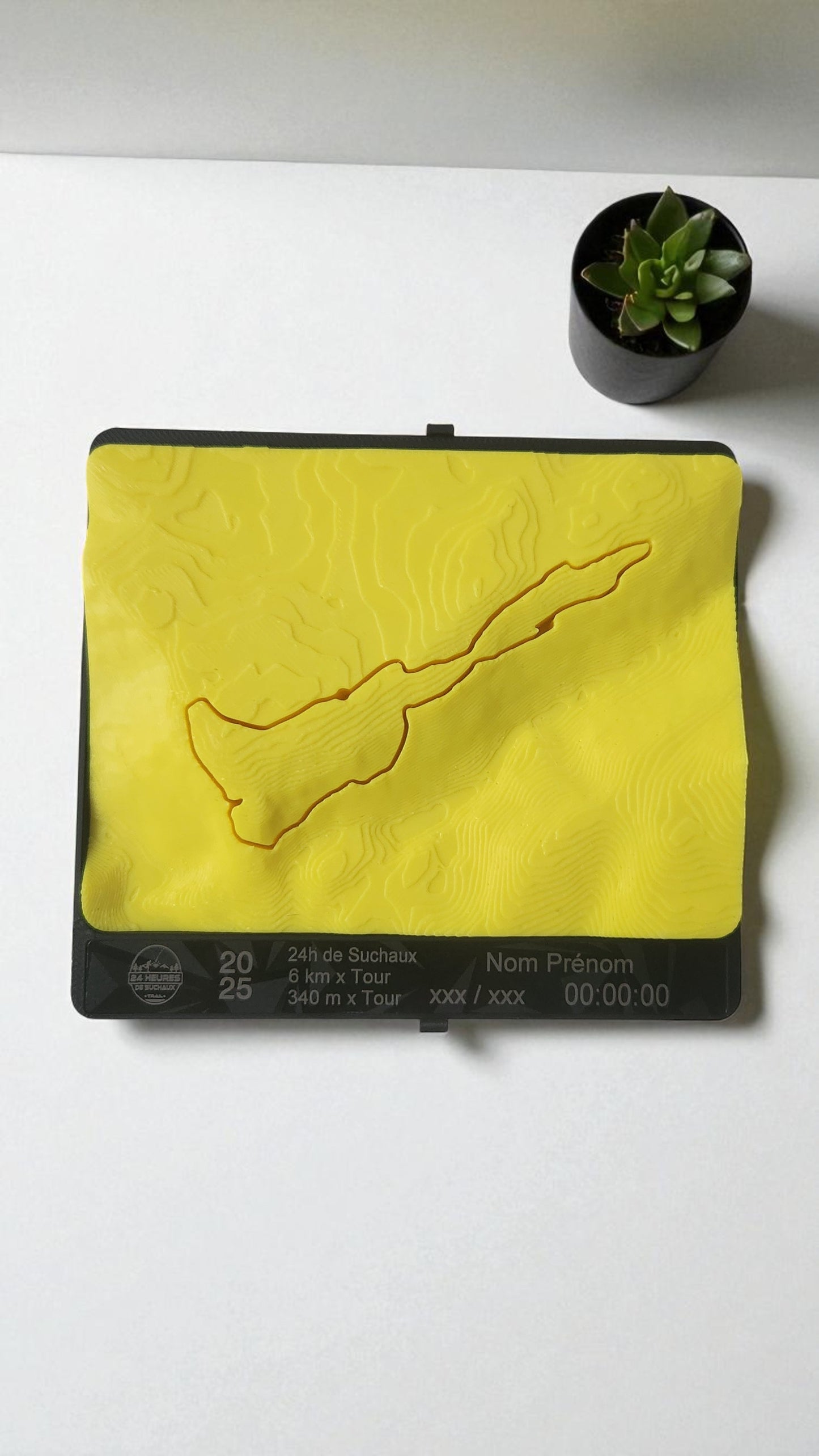 Médaille topographique personnalisée