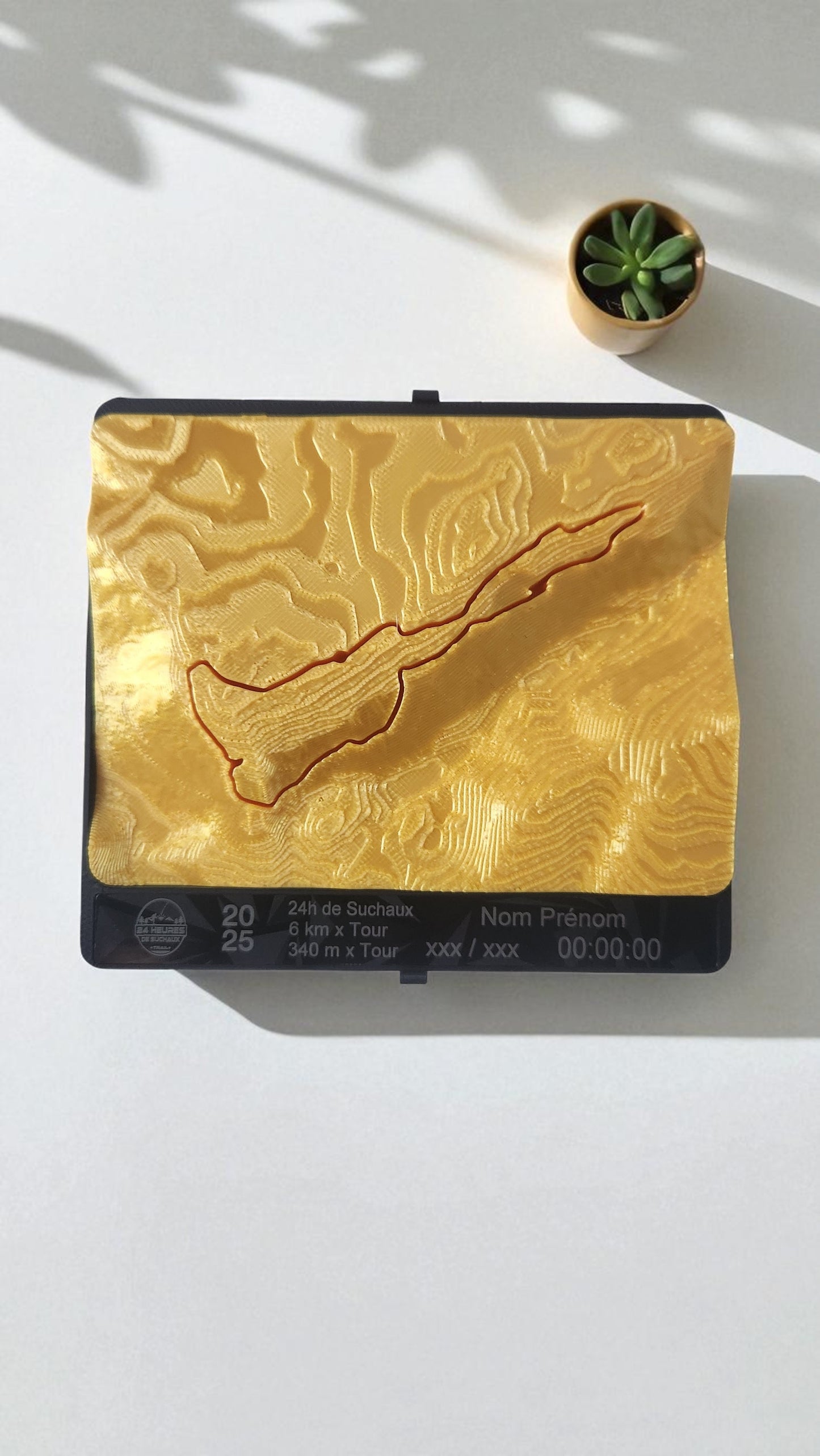 Médaille topographique personnalisée