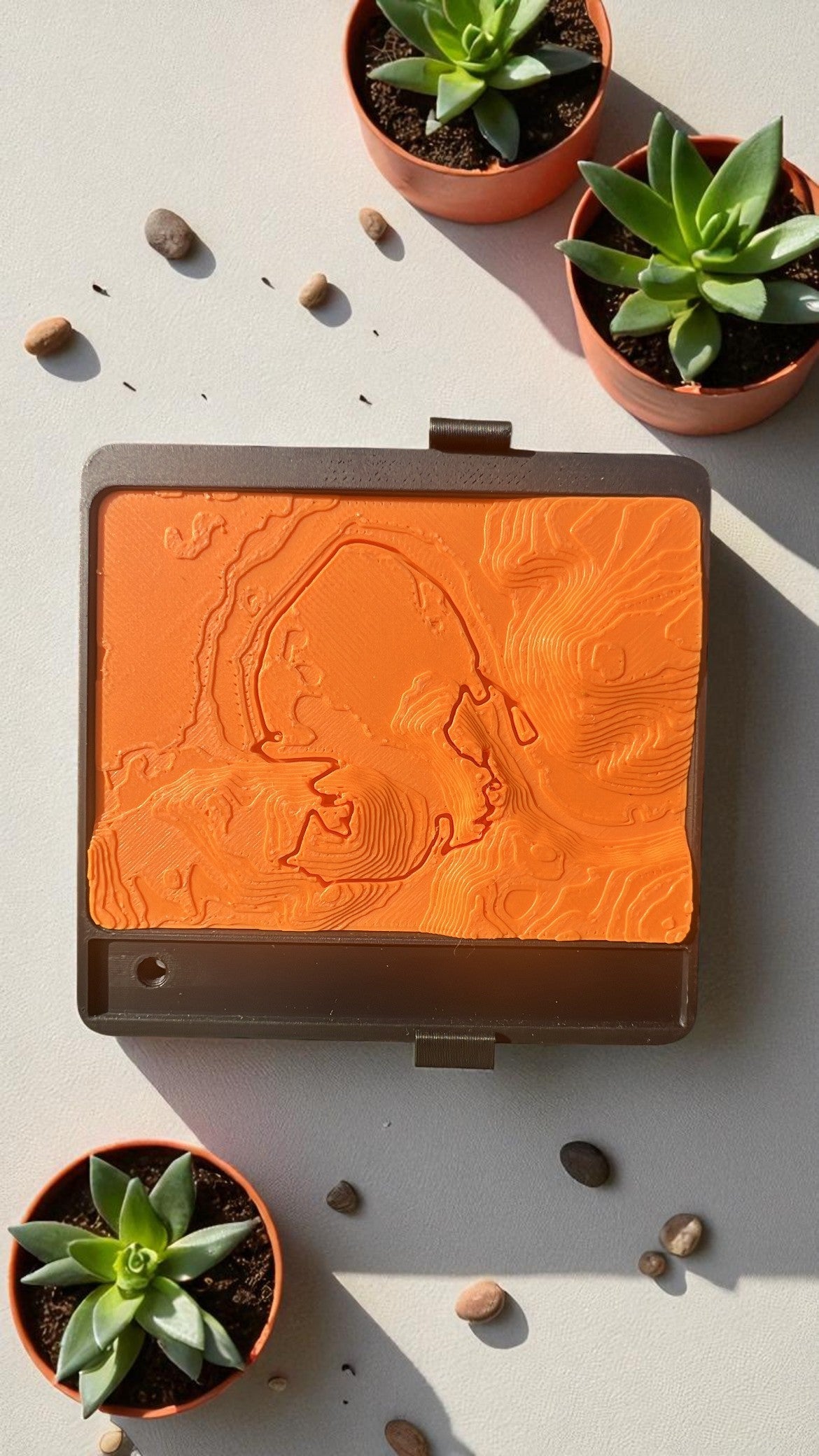 Médaille topographique personnalisée