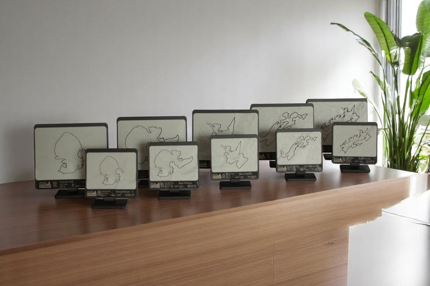 Médaille topographique personnalisée