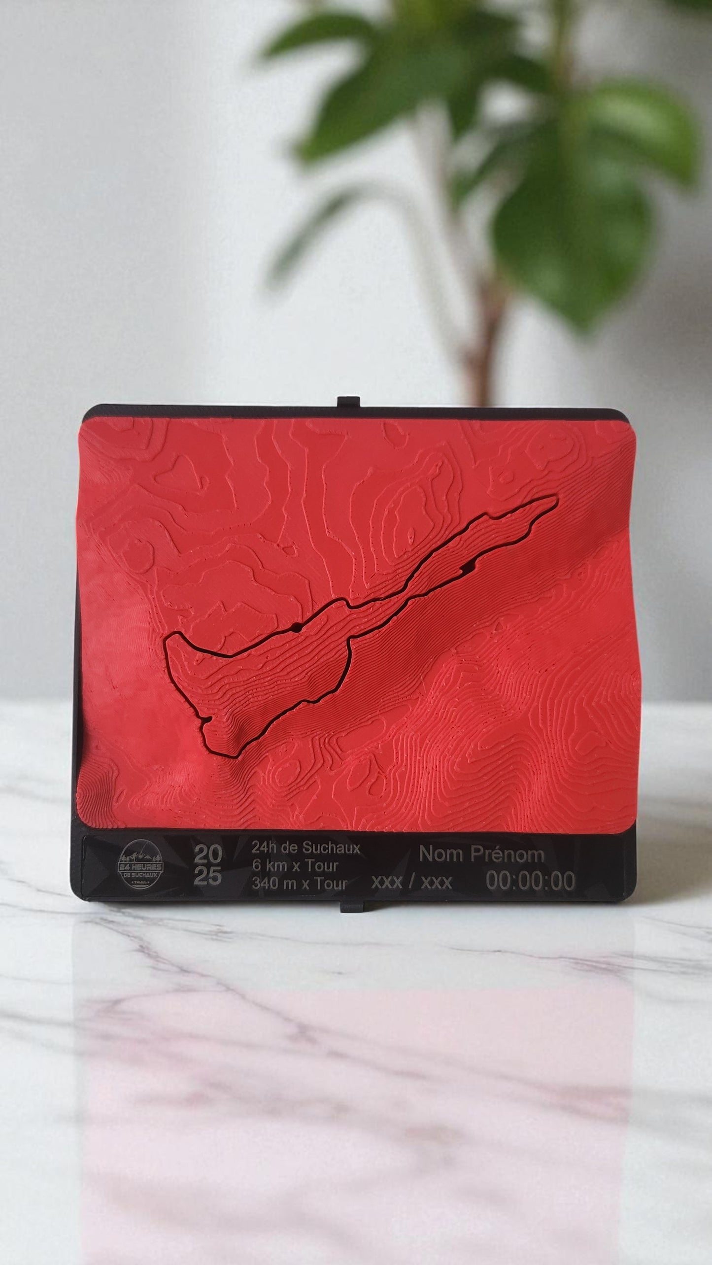 Médaille topographique personnalisée