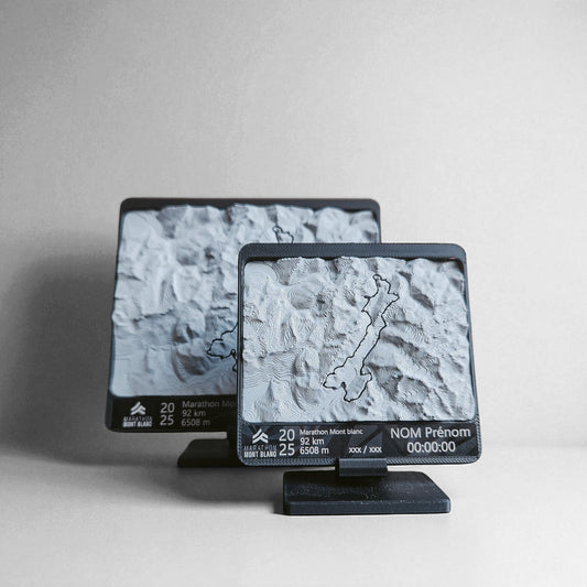 Médaille topographique personnalisée